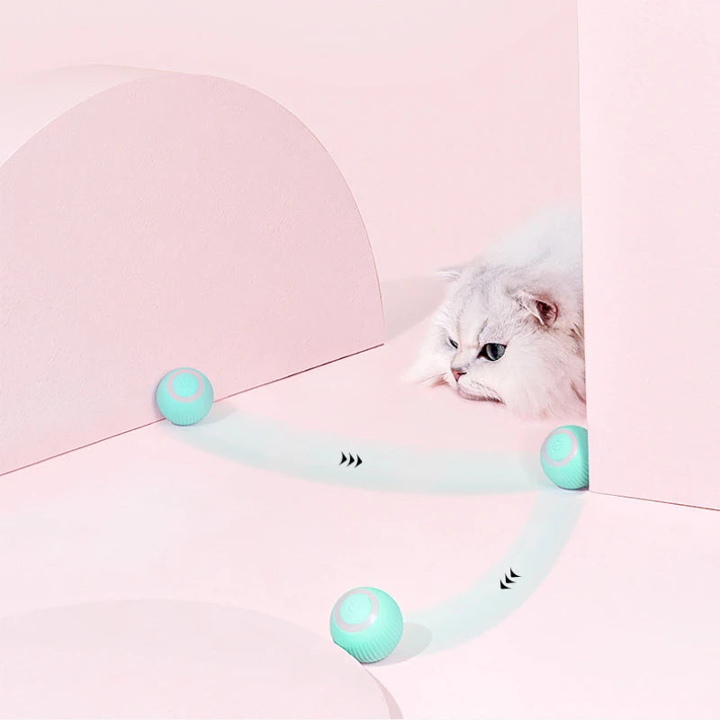 Remote Control Interactive Cat Car Toy - ! - My Store
