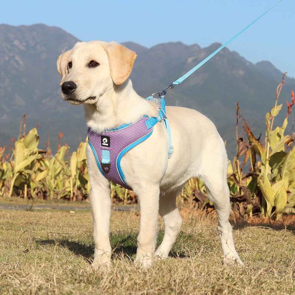 Breathable Pet Harness with Adjustable Leash – Comfortable & Secure Fit  - ! - My Store