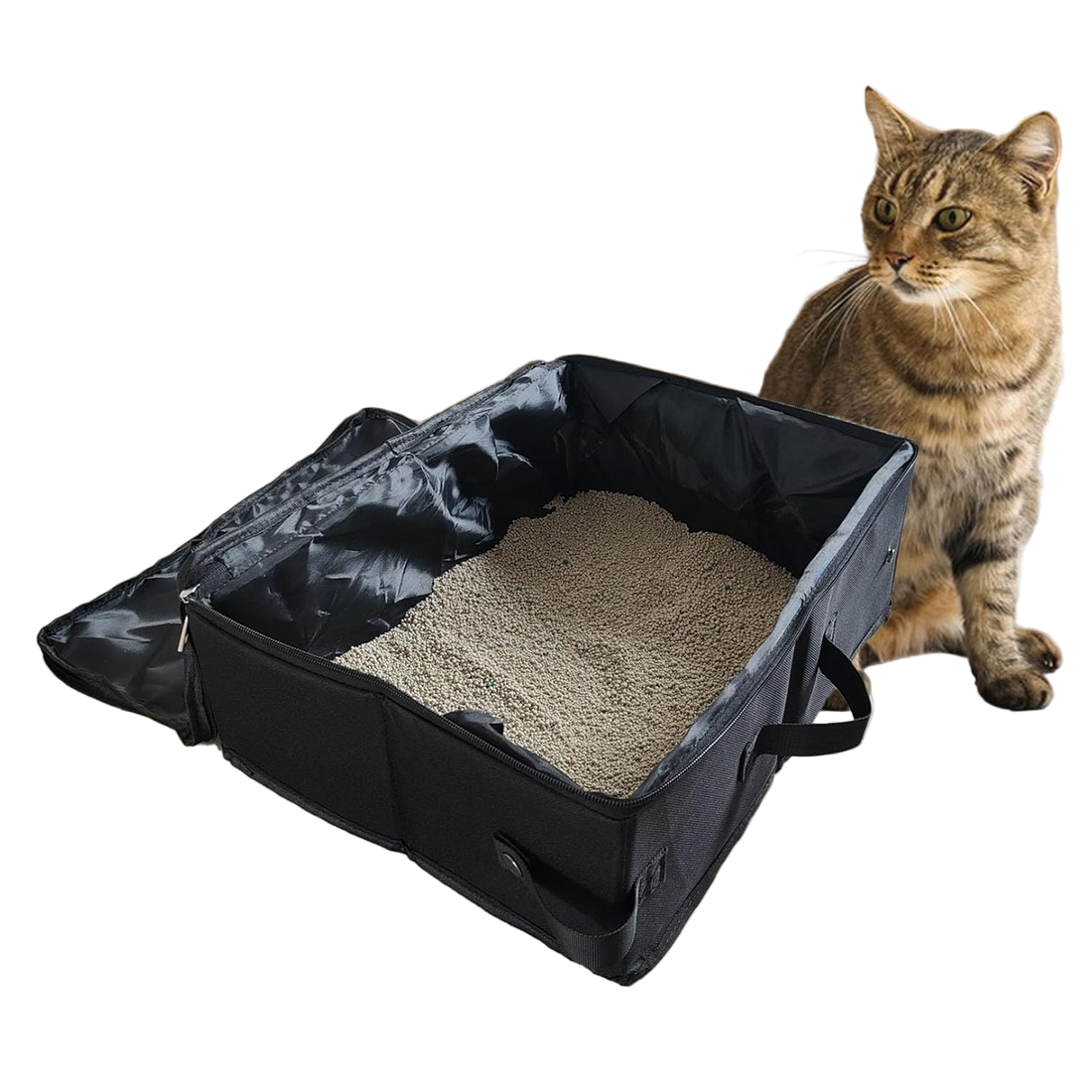 Portable Collapsible Cat Travel Litter Box – Leakproof & Lightweight