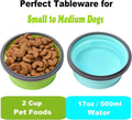 2-Pack Collapsible Cat Bowls with Lids – Portable Travel Pet Feeders (17oz)