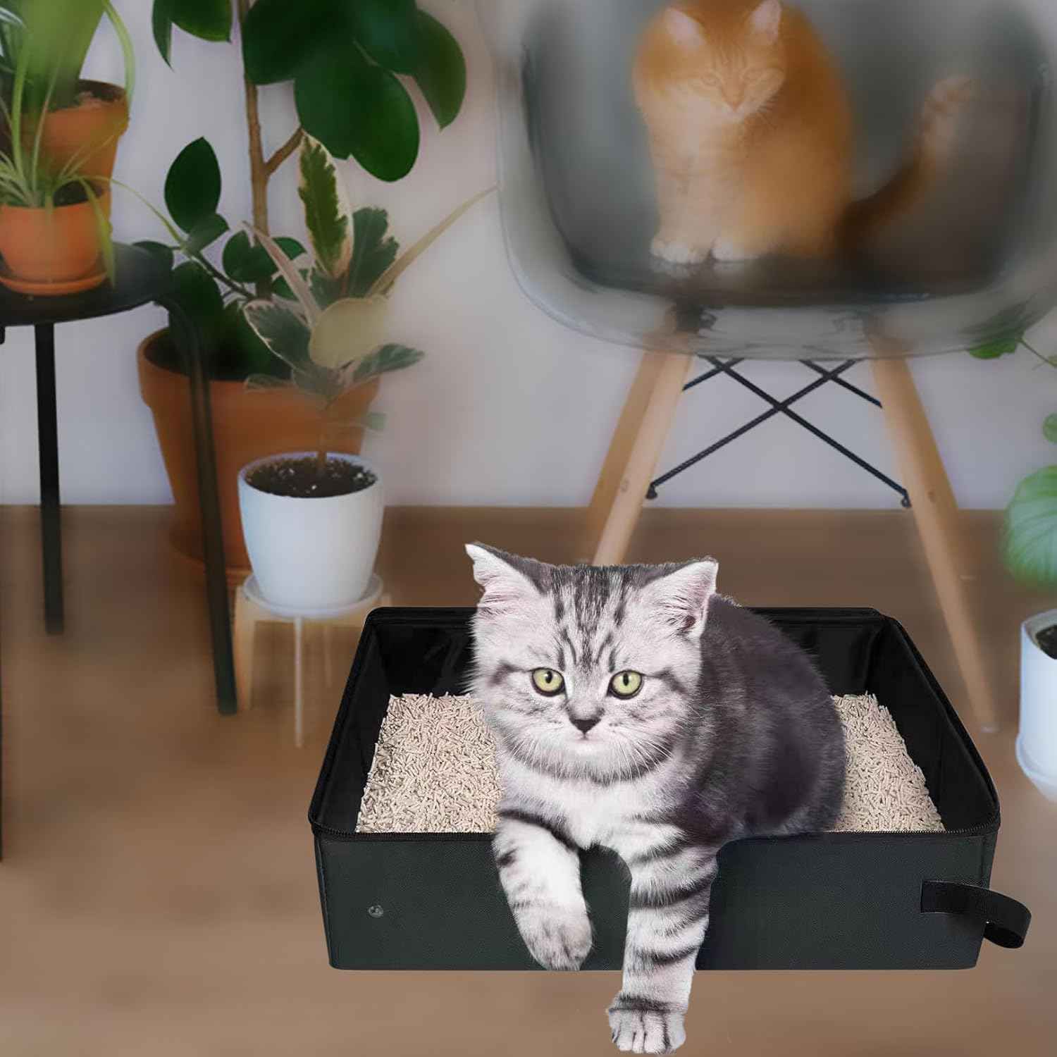 Portable Collapsible Cat Travel Litter Box – Leakproof & Lightweight