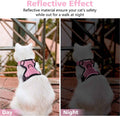 Reflective Cat Harness & Leash Set – Escape-Proof, Adjustable & Comfortable