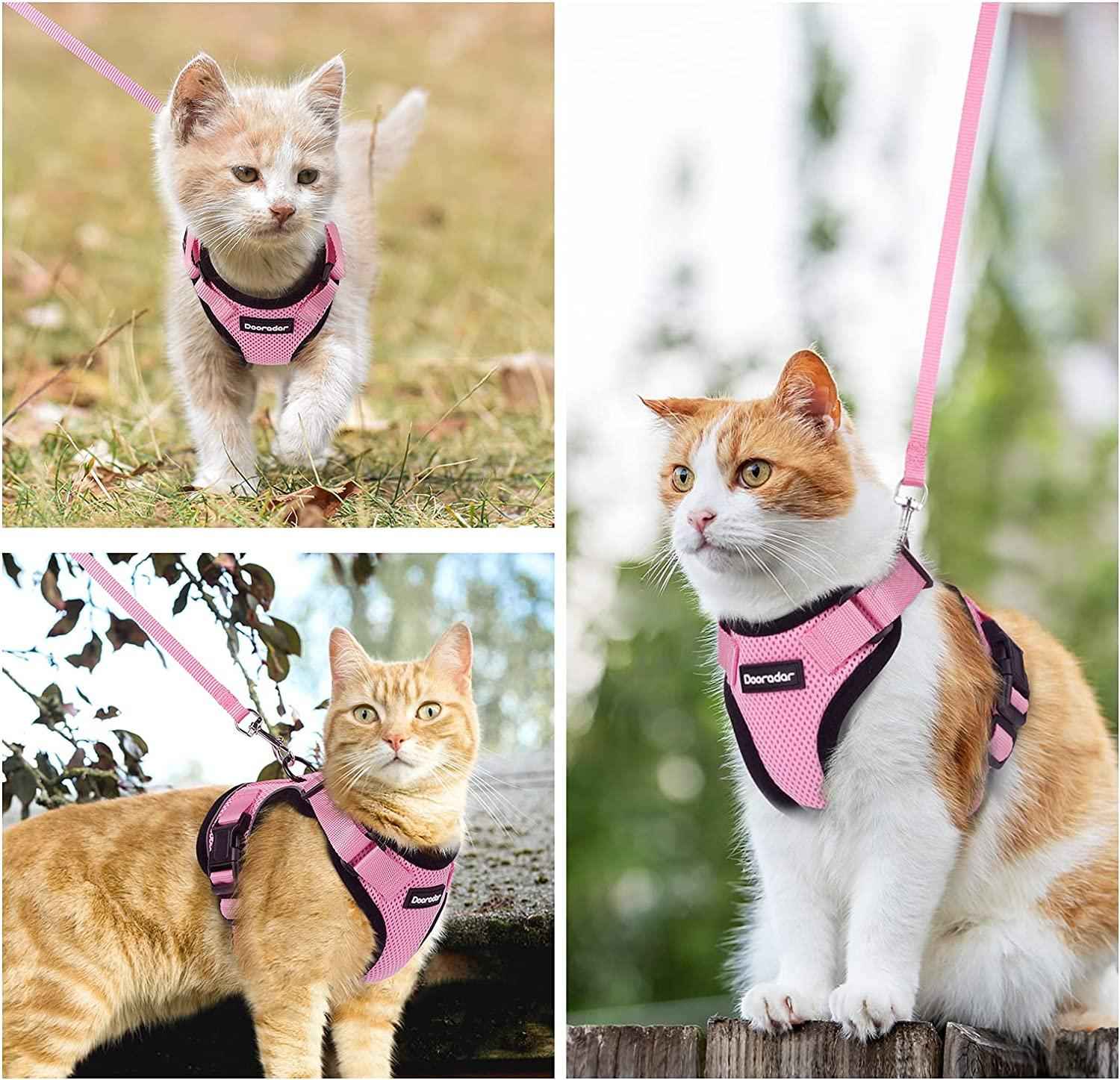 Reflective Cat Harness & Leash Set – Escape-Proof, Adjustable & Comfortable