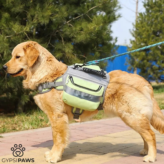 Outdoor Large Dog Backpack  - ! - My Store