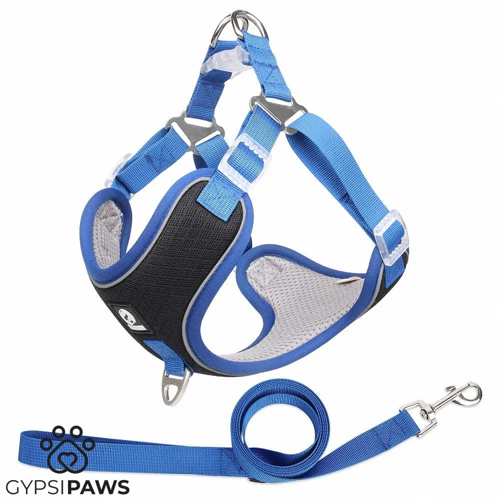 Breathable Pet Harness with Adjustable Leash – Comfortable & Secure Fit  - ! - My Store