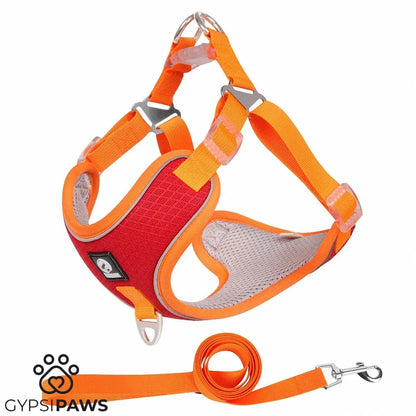 Breathable Pet Harness with Adjustable Leash – Comfortable & Secure Fit  - ! - My Store