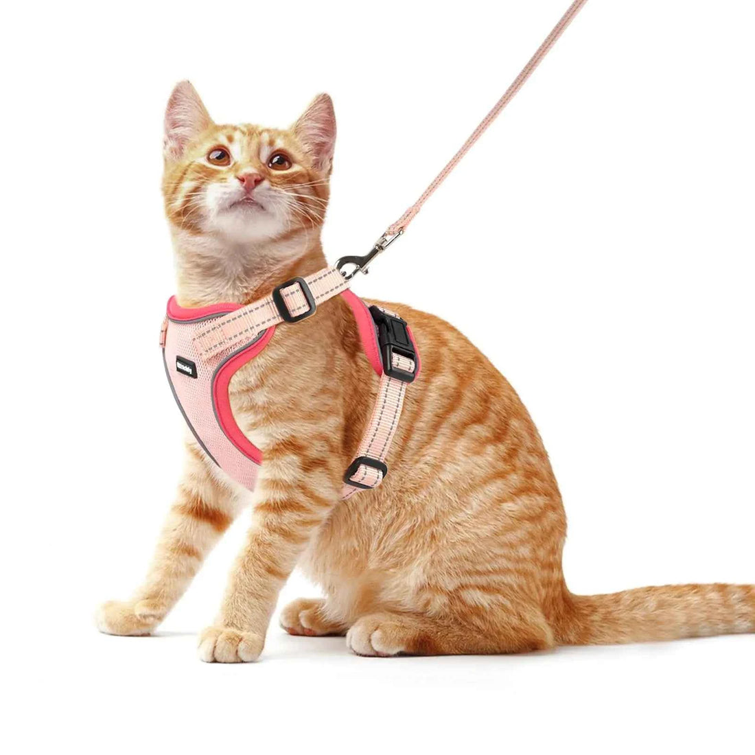 Reflective Cat Harness & Leash Set – Escape-Proof, Adjustable & Comfortable